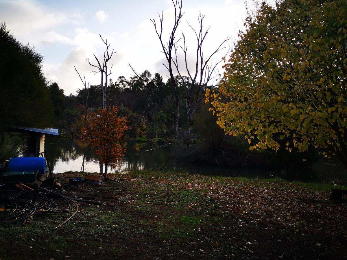 Woodlands Of Balingup Bush Cottages Luaran gambar