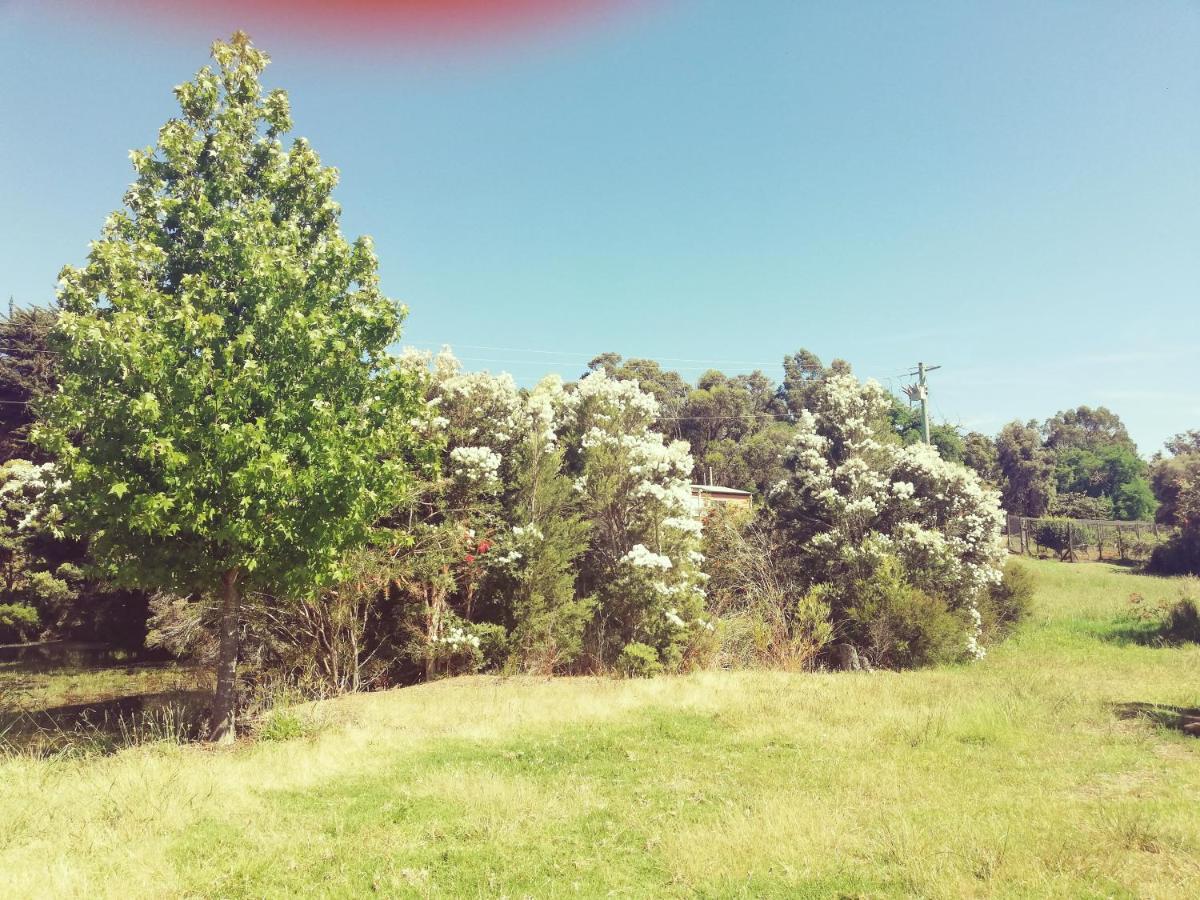 Woodlands Of Balingup Bush Cottages Luaran gambar