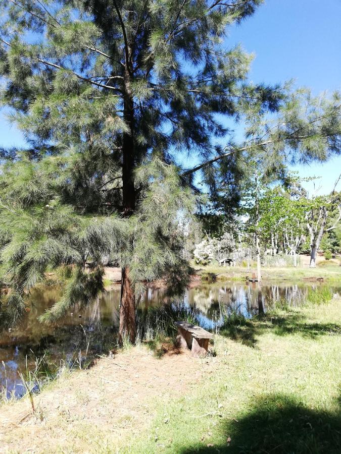 Woodlands Of Balingup Bush Cottages Luaran gambar